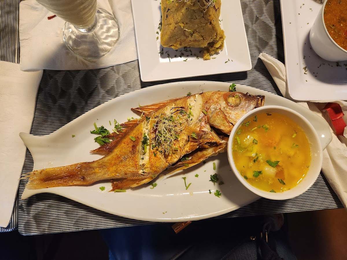 Tropical Gourmet - Photo 9