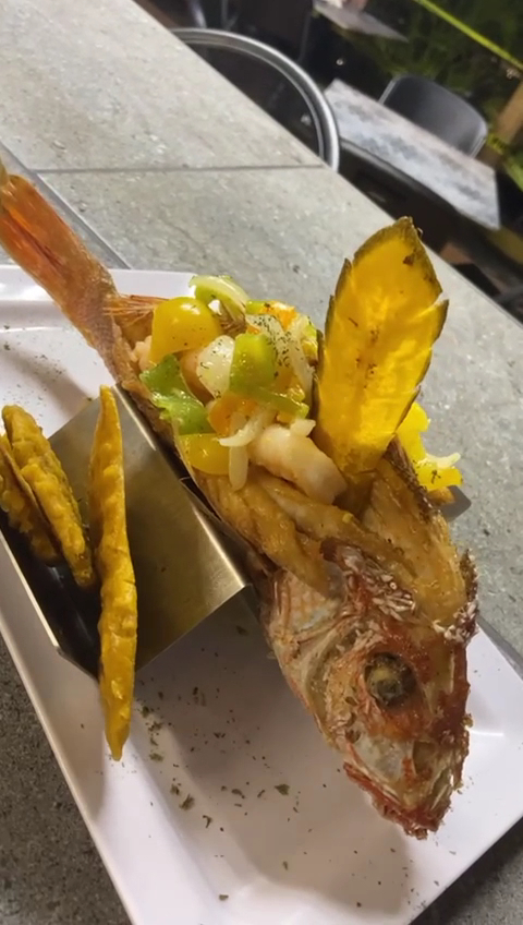 Tropical Gourmet - Photo 1