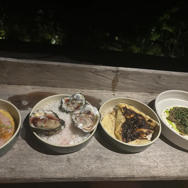 Oysters
