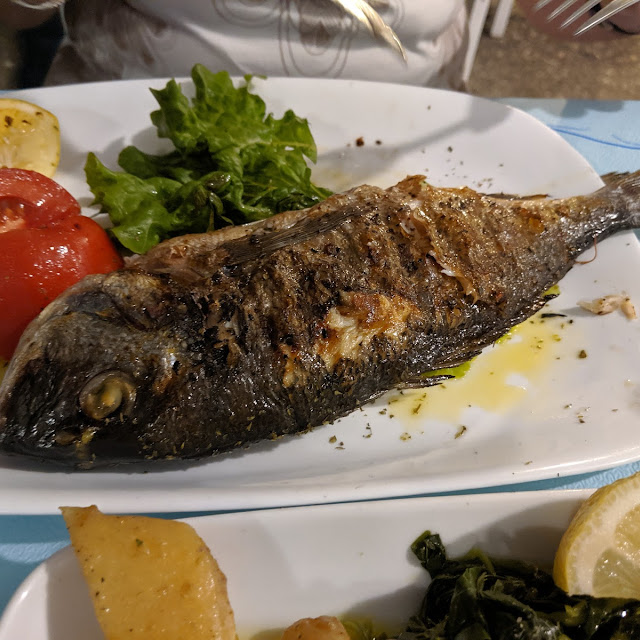 Sea Bream