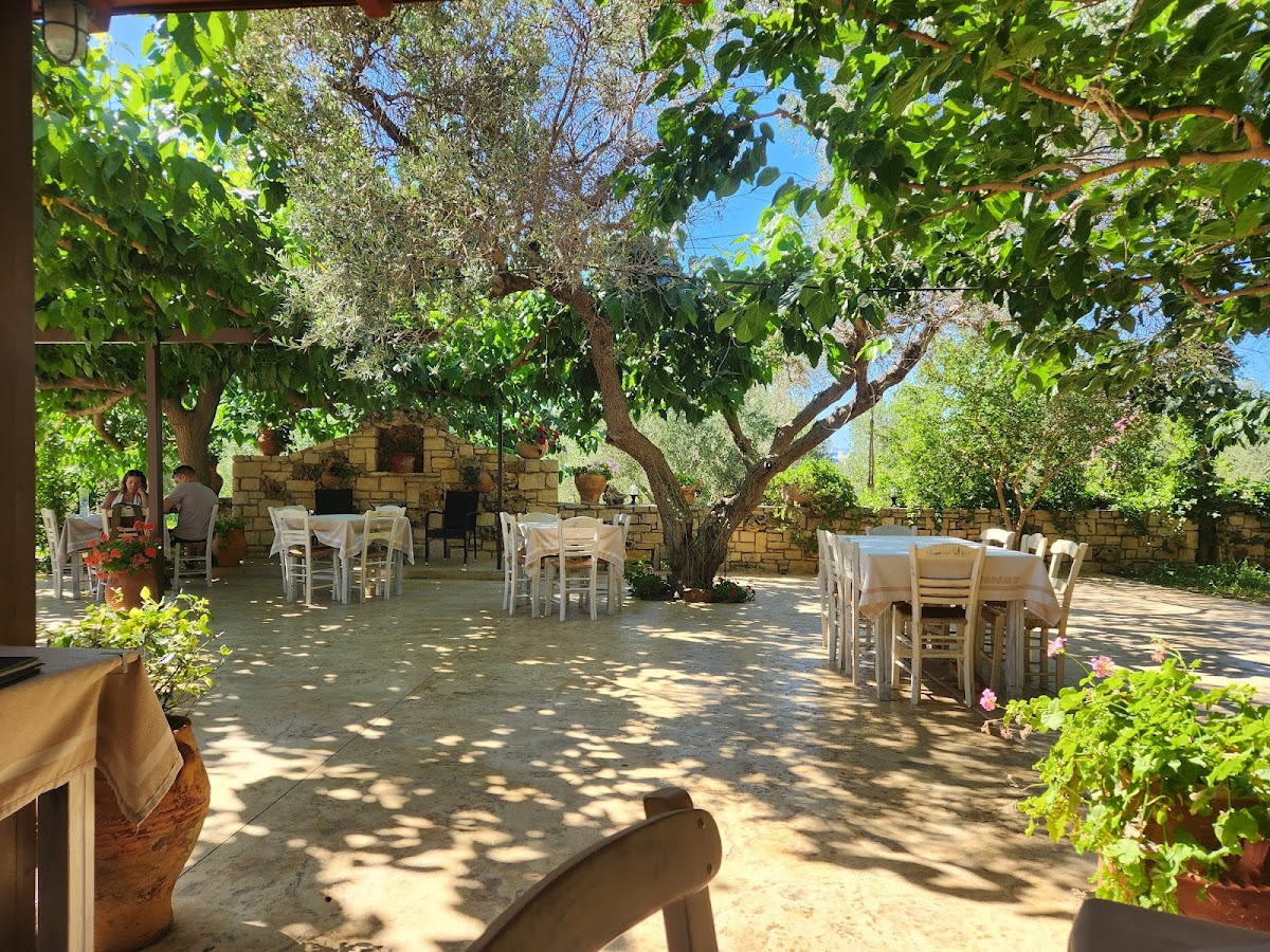 Georgia's Traditional Taverna - Photo 3
