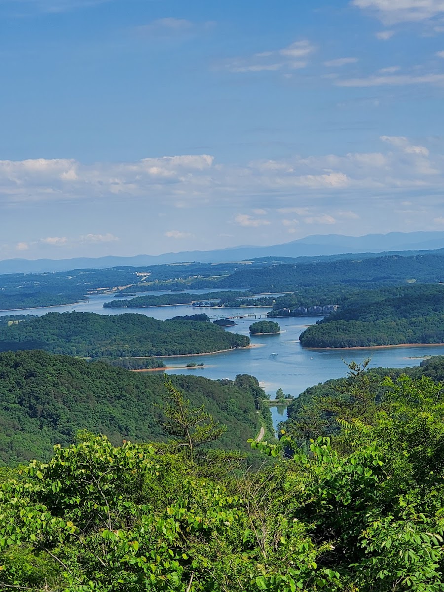 Clinch Mountain Bakery & Restaurant - Photo 3