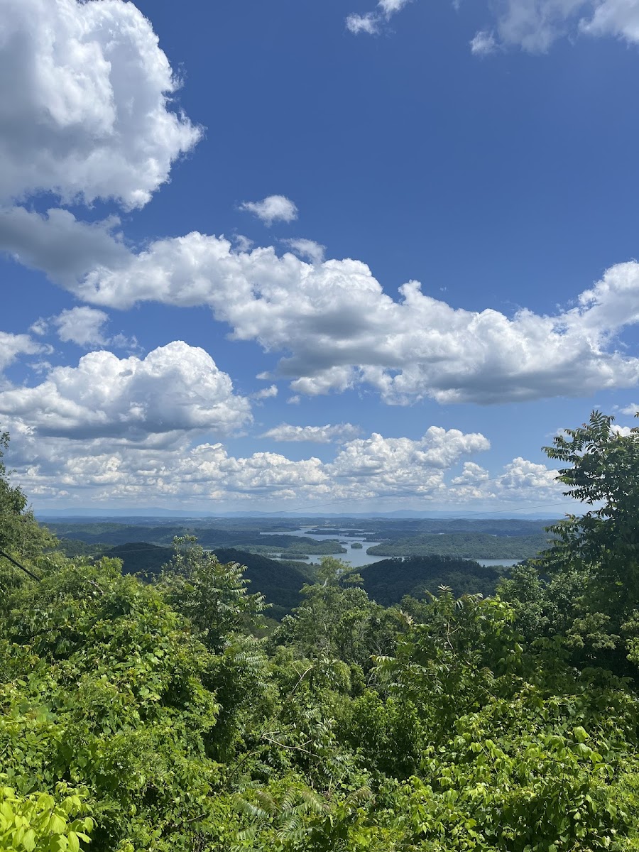 Clinch Mountain Bakery & Restaurant - Photo 4