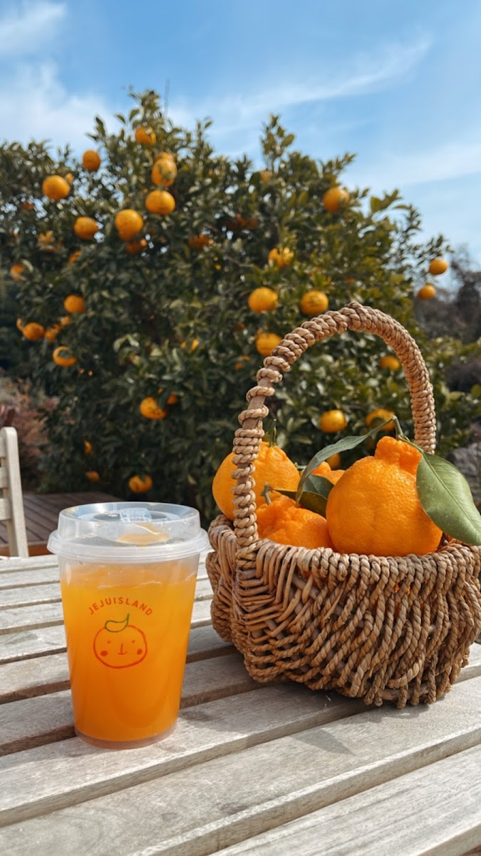 Gamttanam (orange picking) - Photo 9