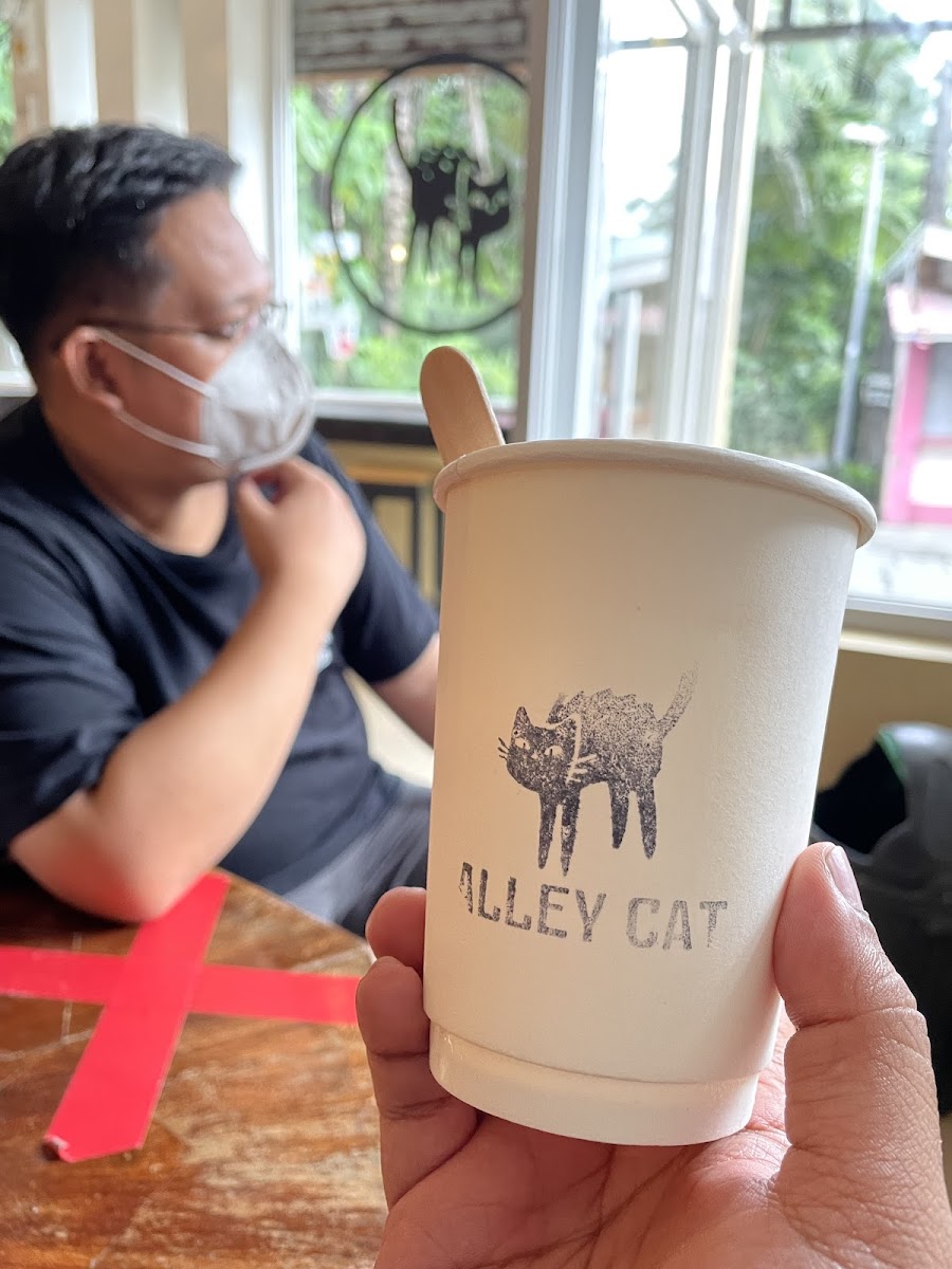 Alley Cat - Photo 9