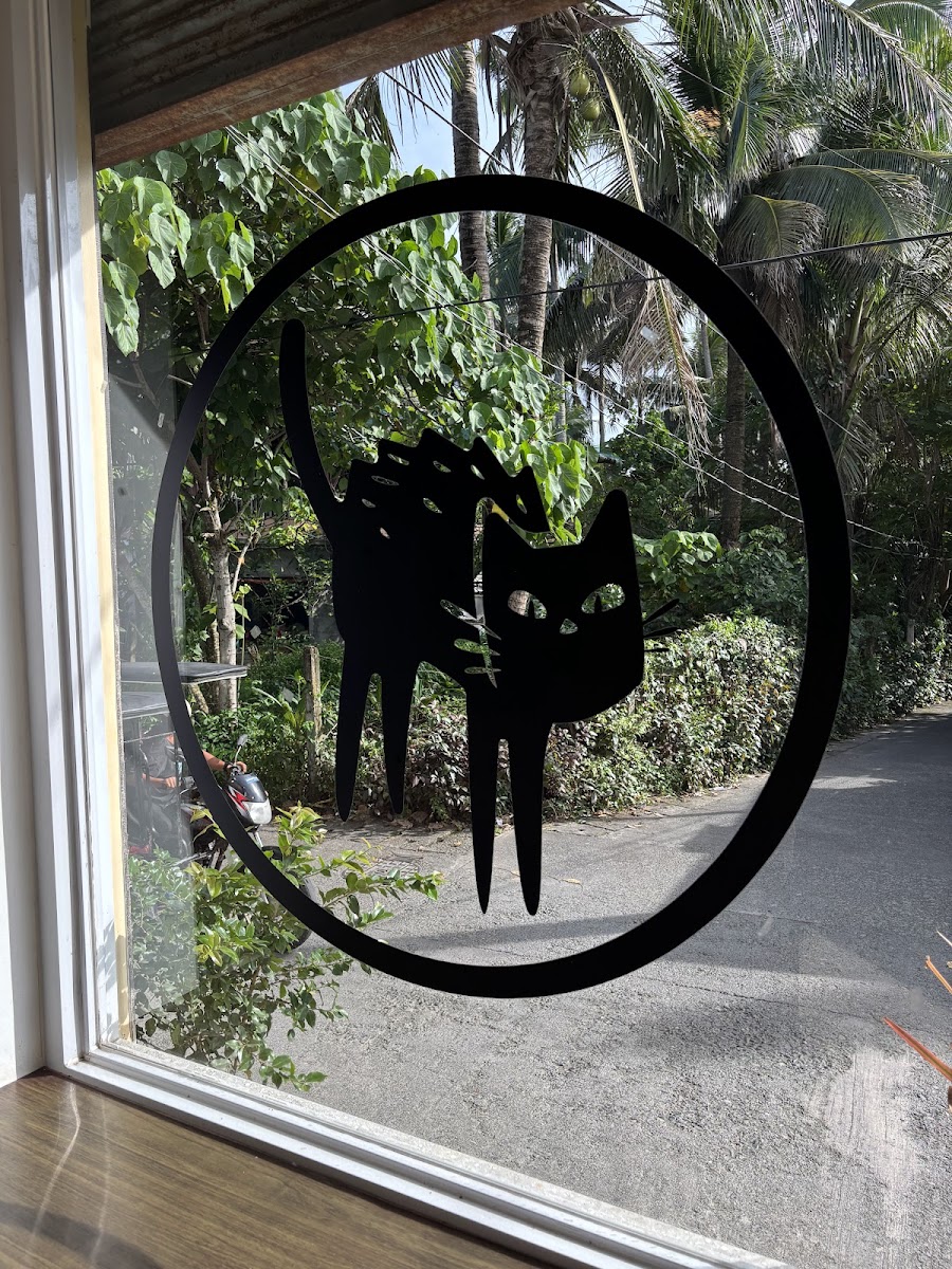 Alley Cat - Photo 3