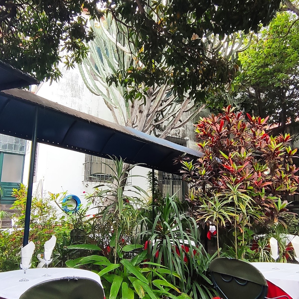 Jardim Da Carreira - Photo 5