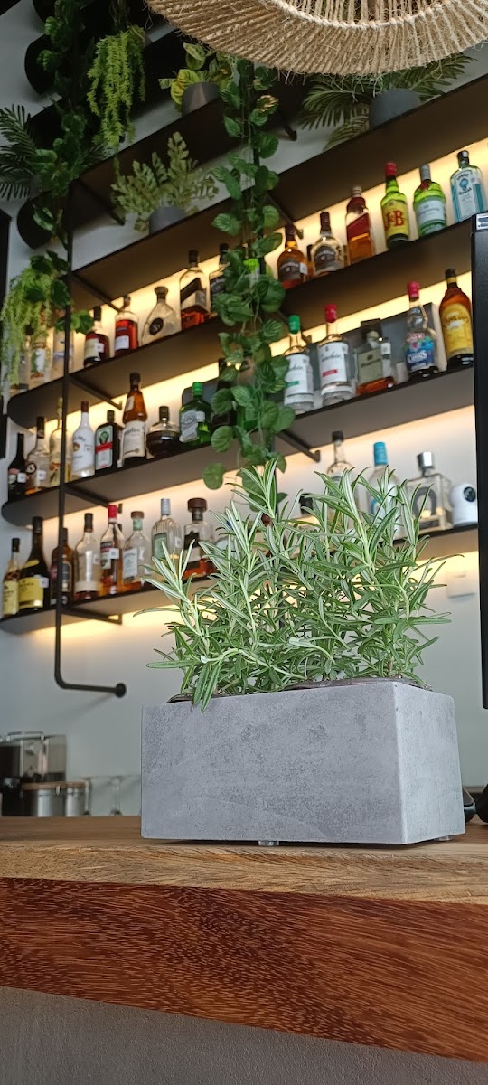 Tutto Olivo
