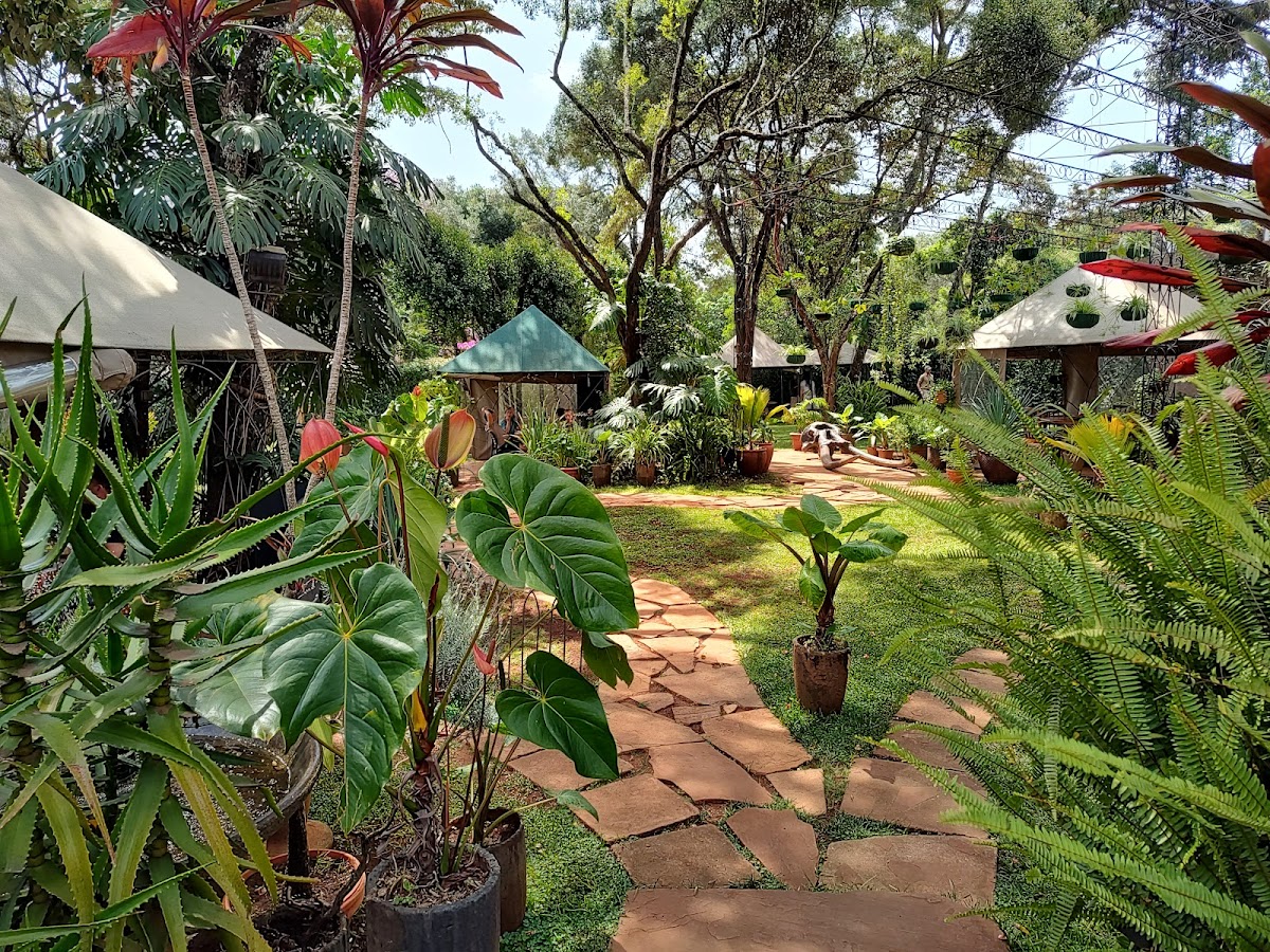 Matbronze Cafe - Photo 6