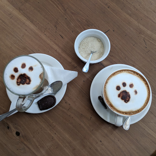Cappuccino with Lion's Paw Print