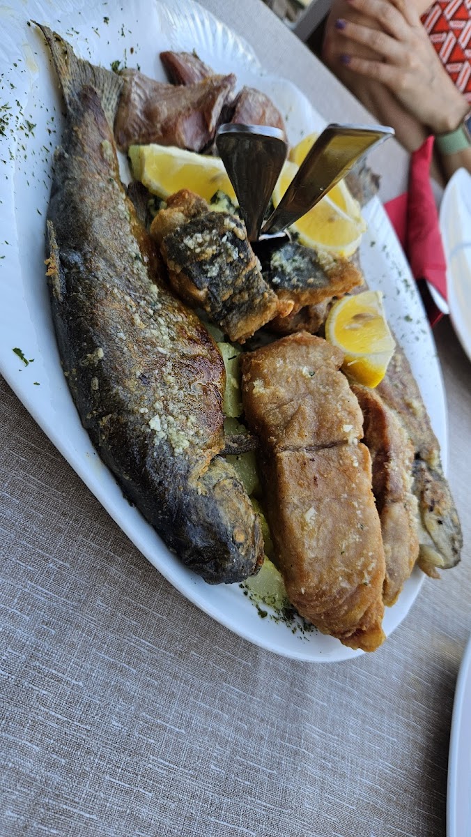 Boat restaurant Silistria - Photo 4