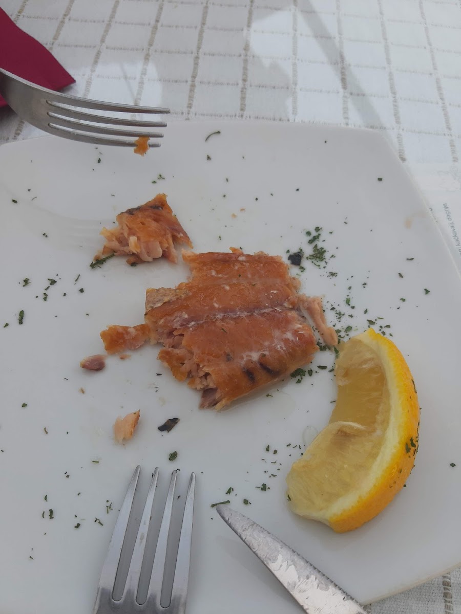 Boat restaurant Silistria - Photo 6