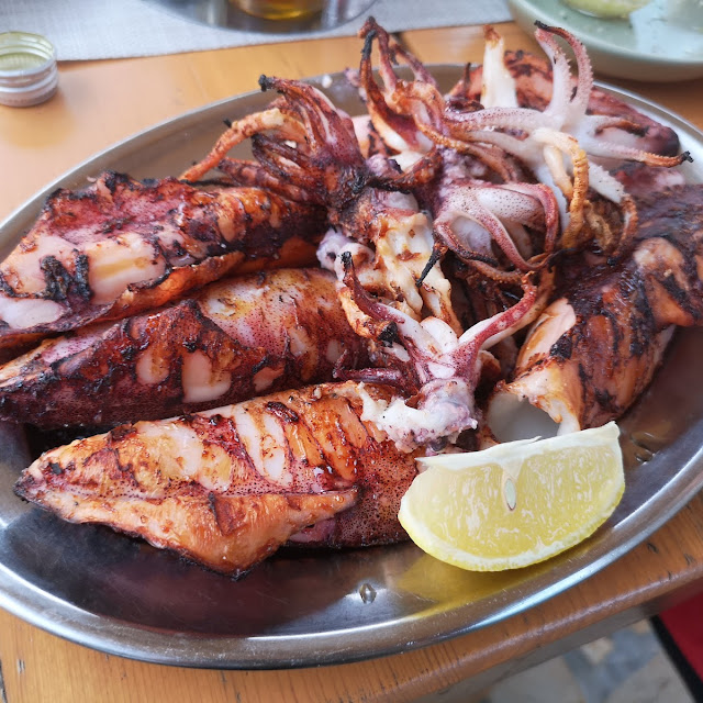 Squid