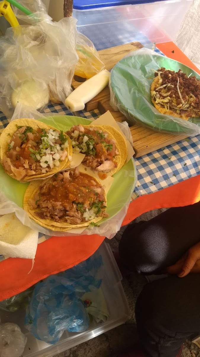Mc Gordas - Photo 9