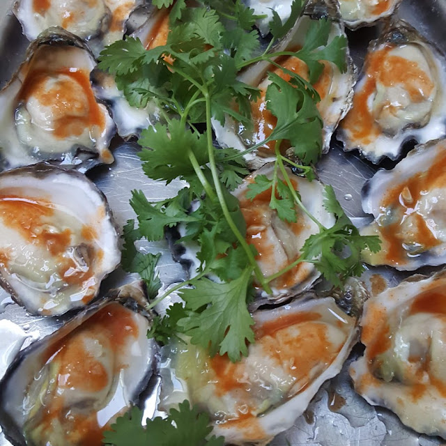 Oysters