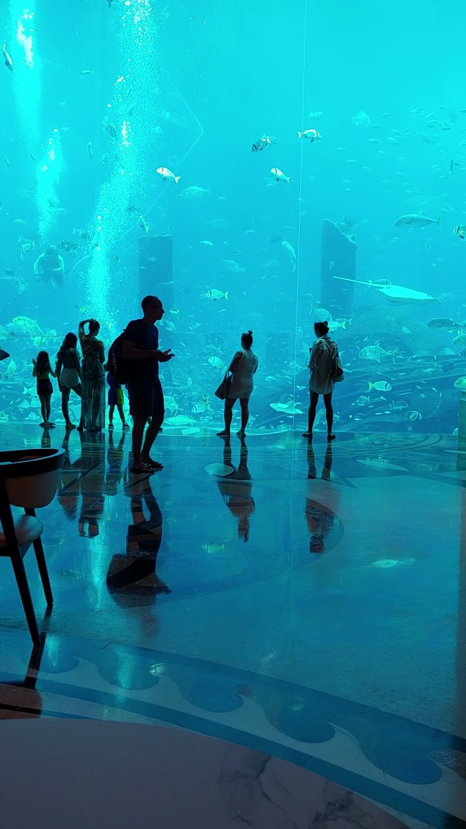 Poseidon Café - Photo 1