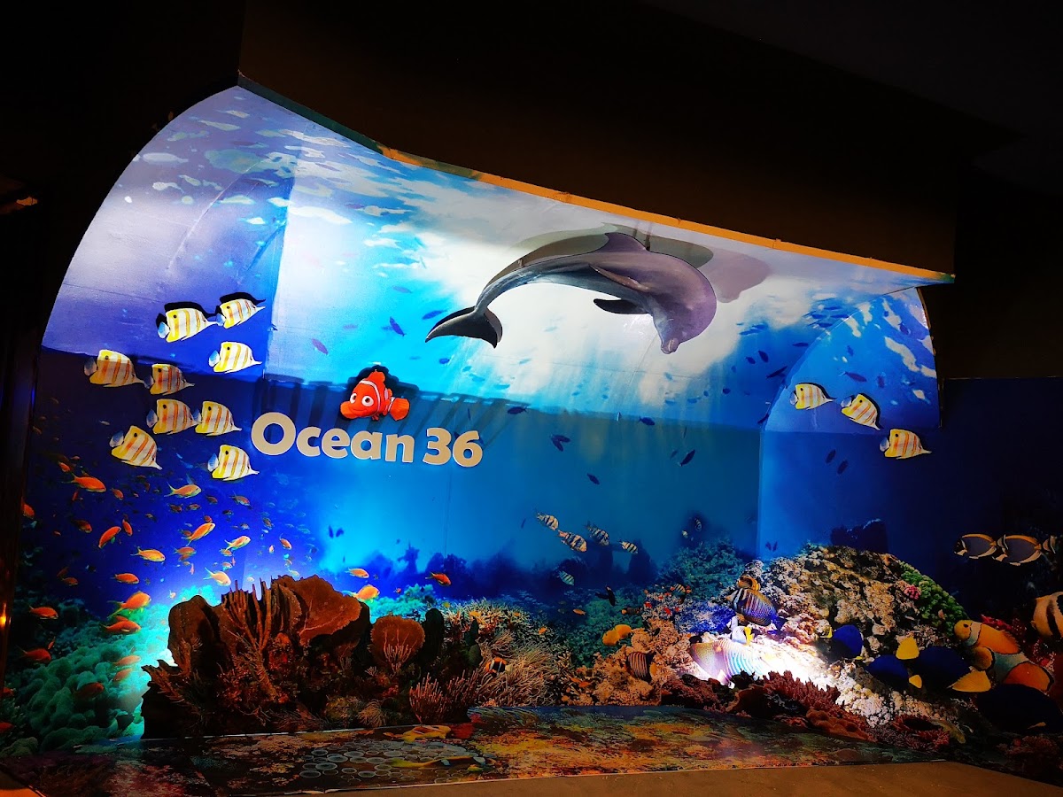 Ocean36 Restaurant - Photo 5