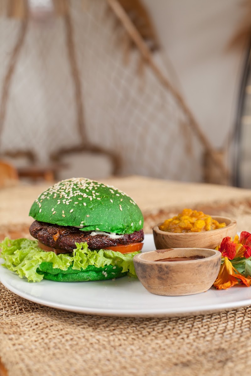 Wild Vegan - Photo 4
