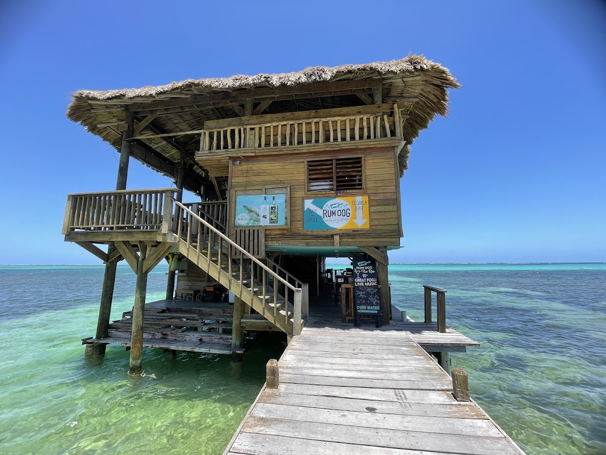Rum Dog Bar and Grill - Photo 2