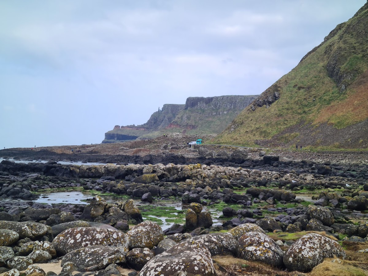 The Nook - Photo 7