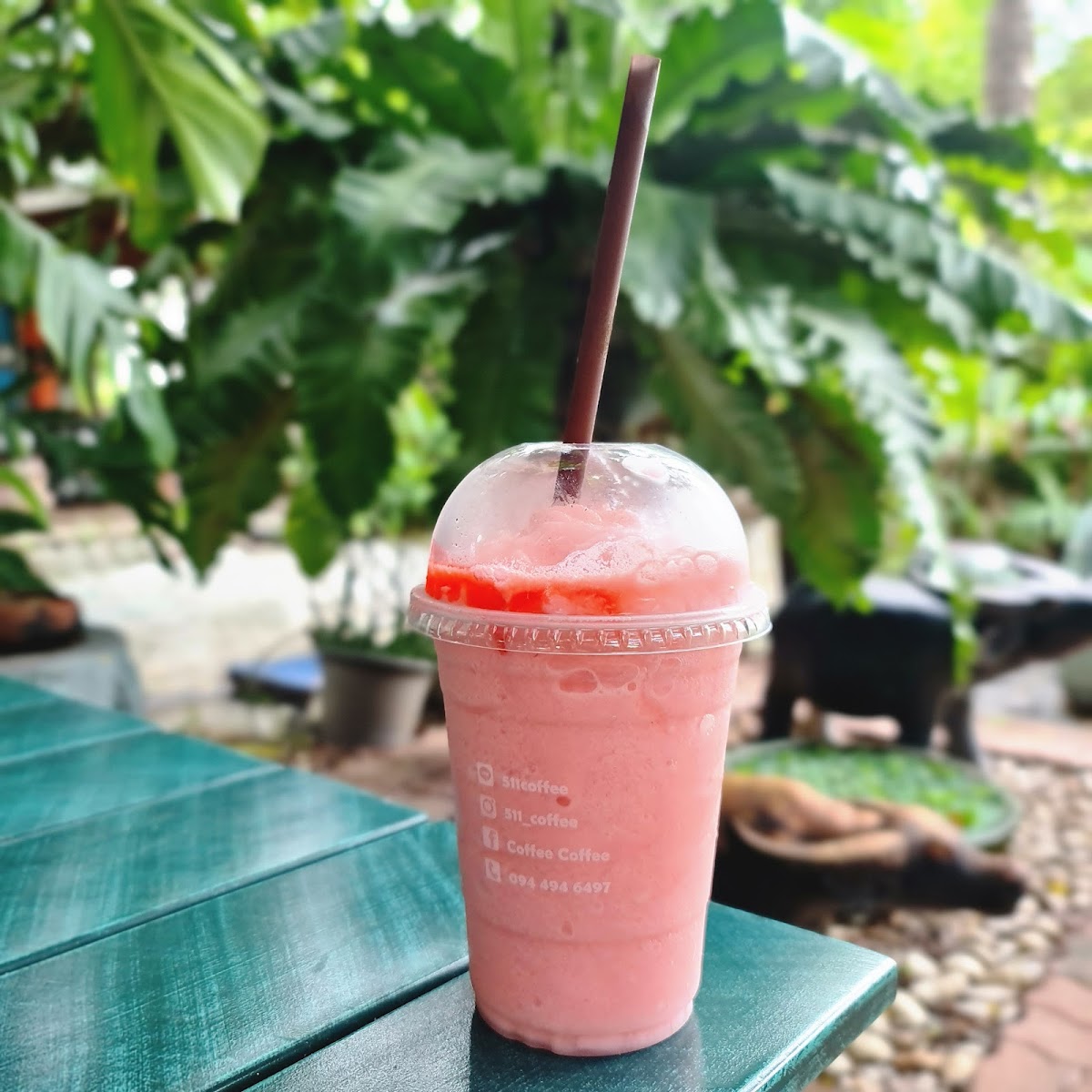 511 coffee - Photo 5