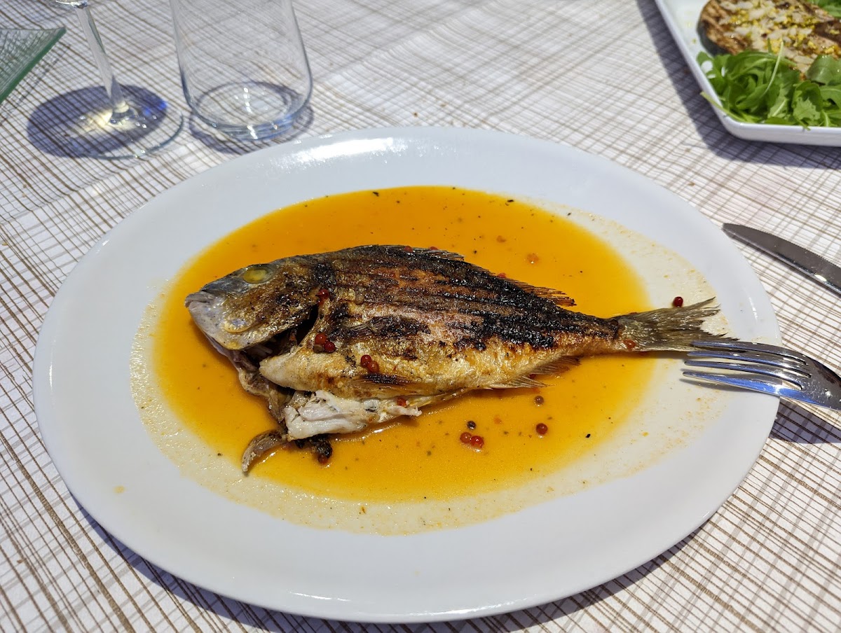 Pasino Trattoria di mare - Photo 6
