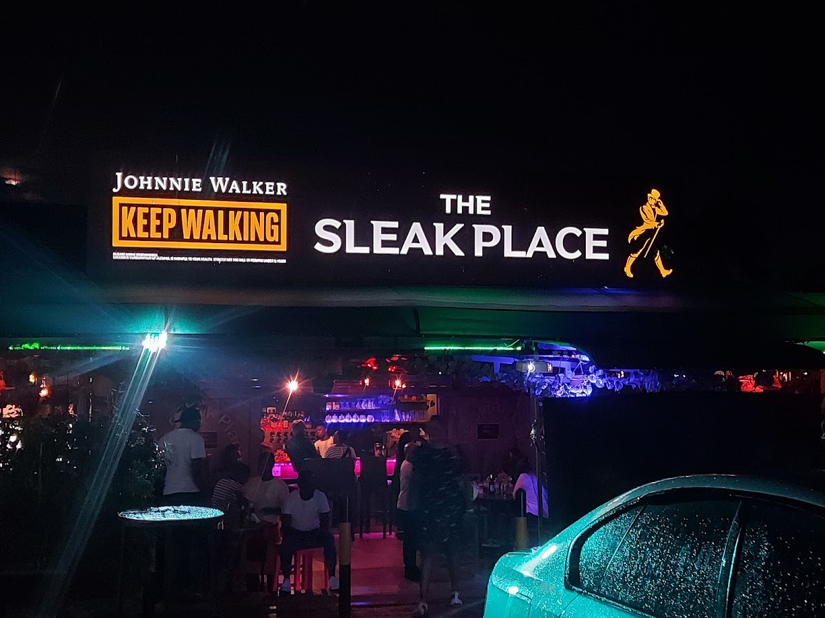 The Sleak Place