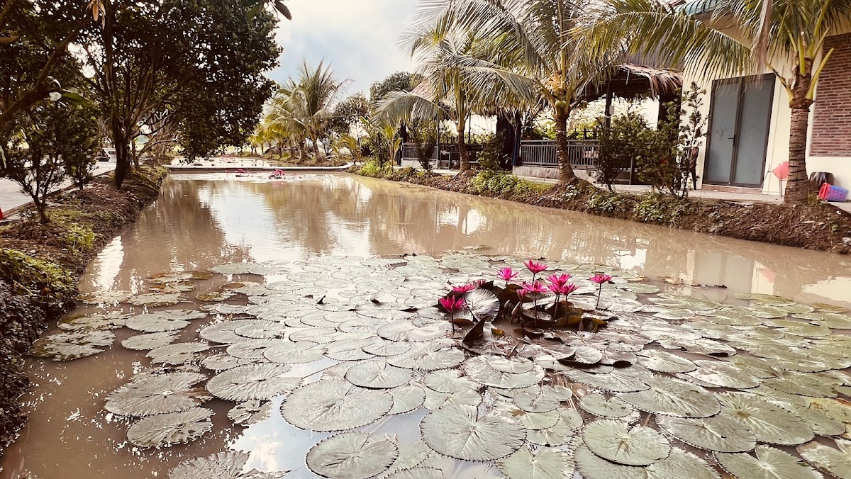 Điền Viên Quán - Photo 3
