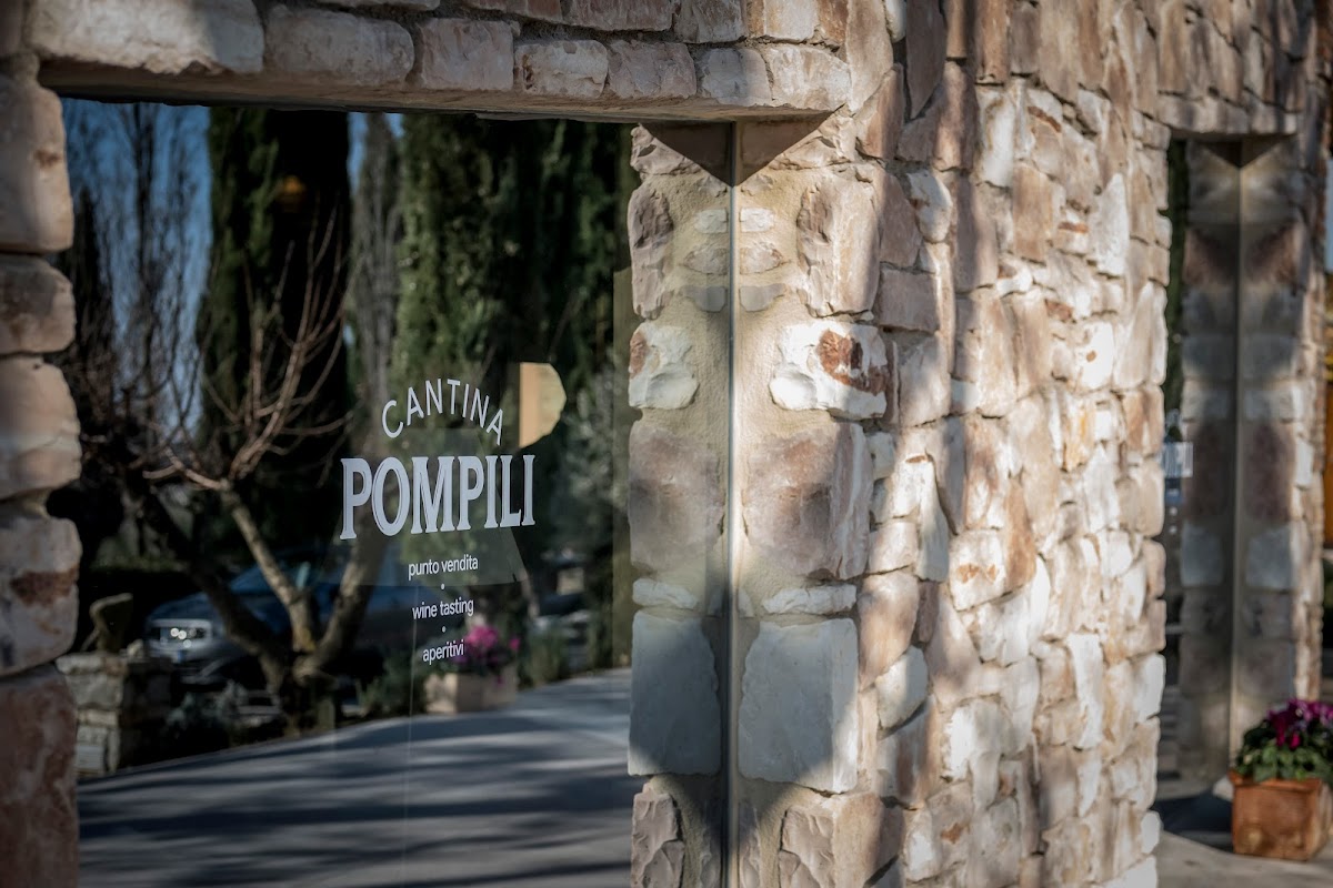FORAGING Lucio Pompili - Photo 3
