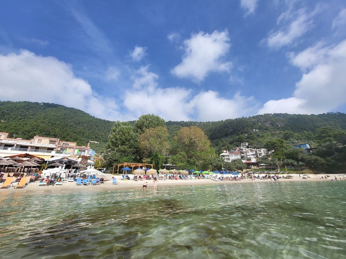Beba Greek Taverna - Photo 3