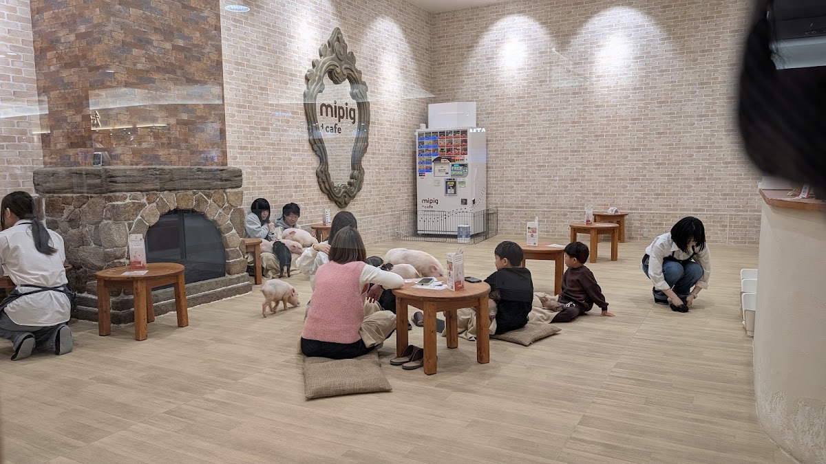 Mipig cafe @level 3 - Photo 6