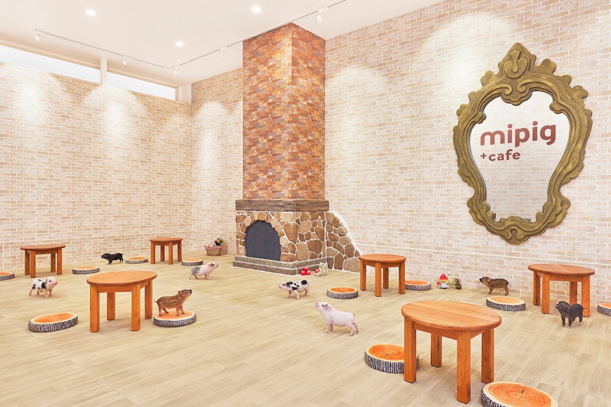 Mipig cafe @level 3 - Photo 7