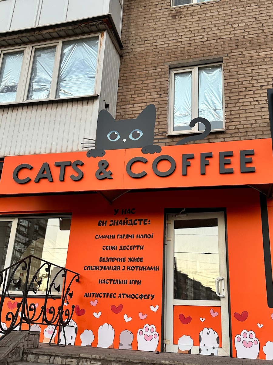 Cats & Coffee