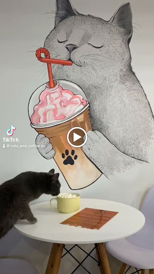 Cats & Coffee - Photo 1
