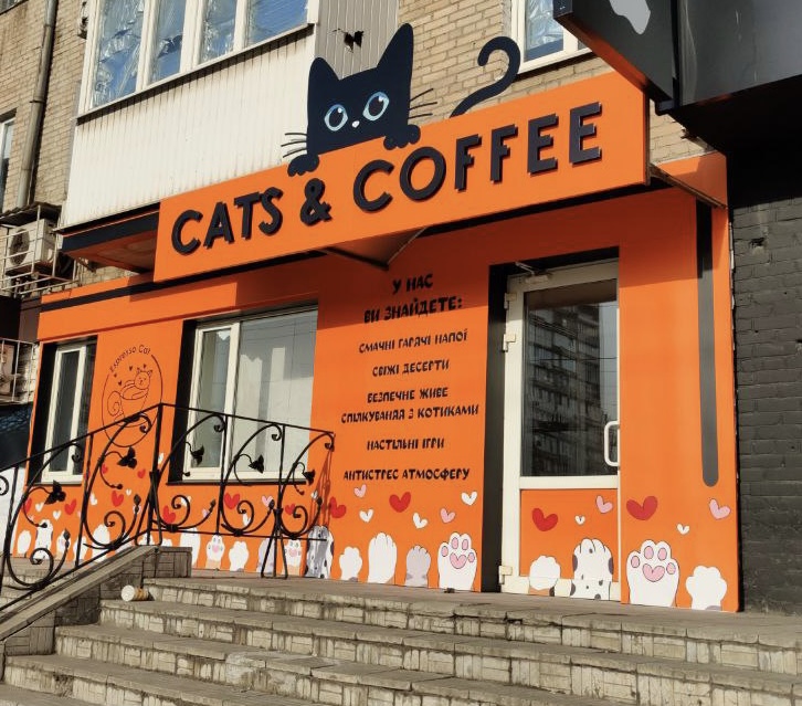Cats & Coffee - Photo 6
