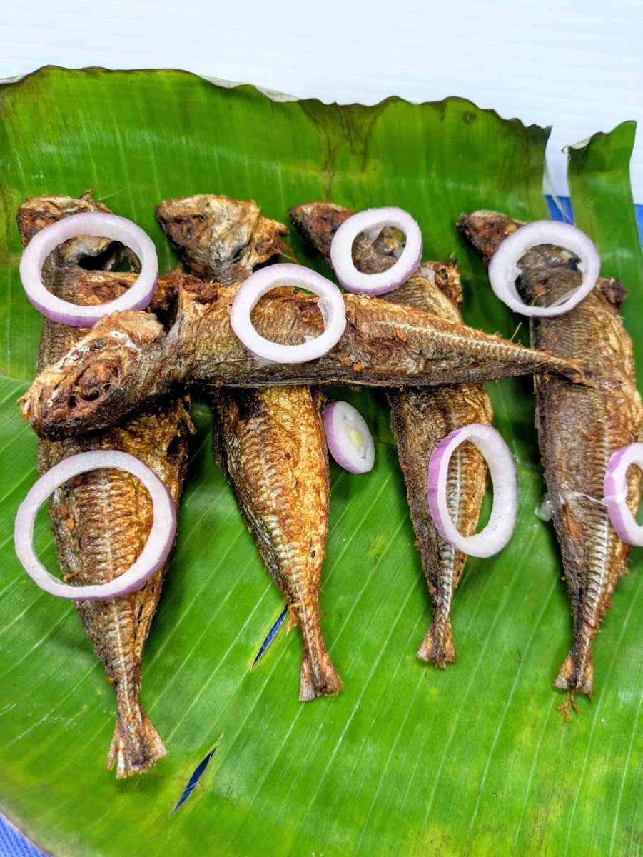 Yarl Spices - Photo 3