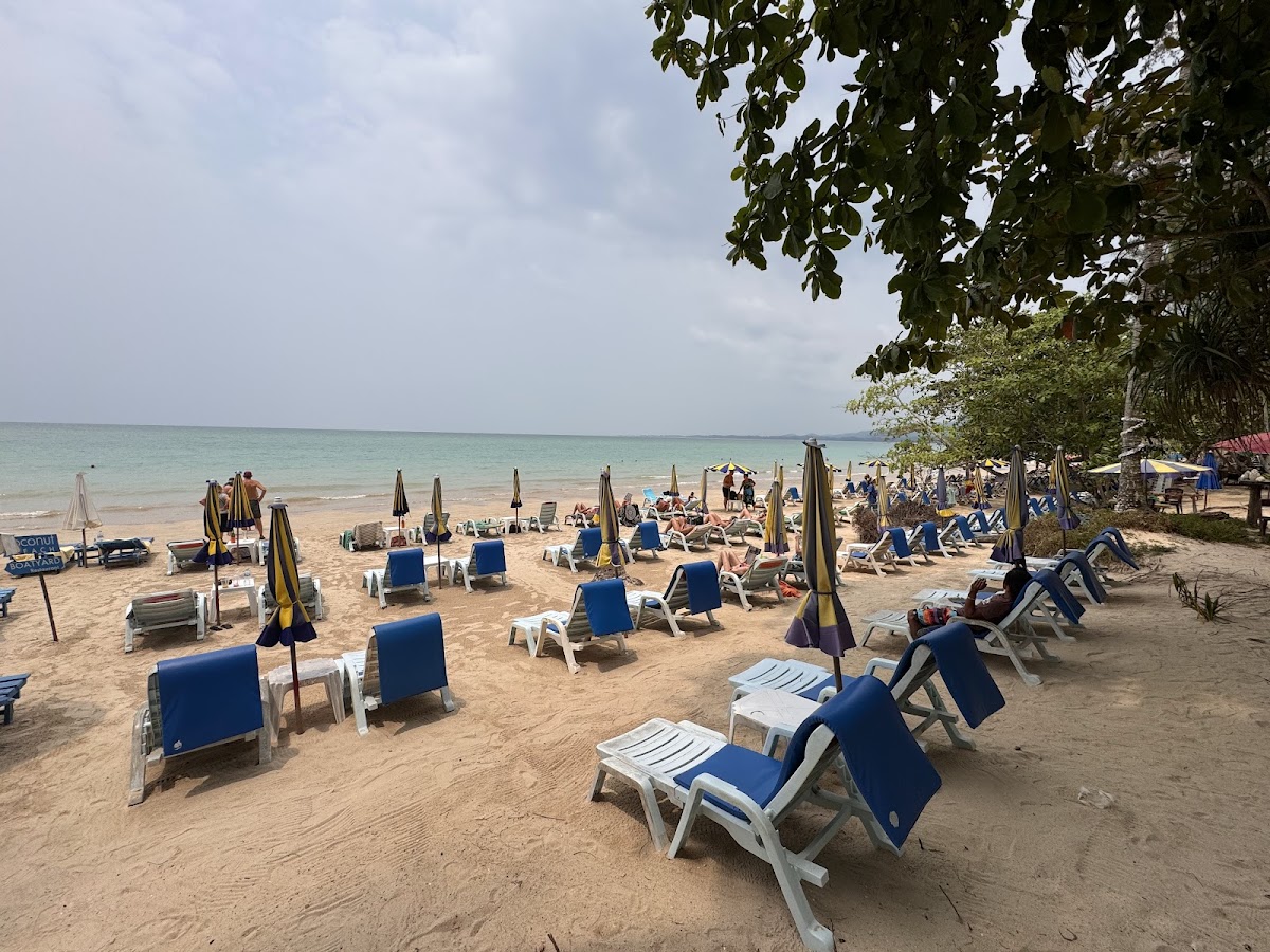 Coconut beach Boatyard Restaurant ( SINCE ) - Photo 8