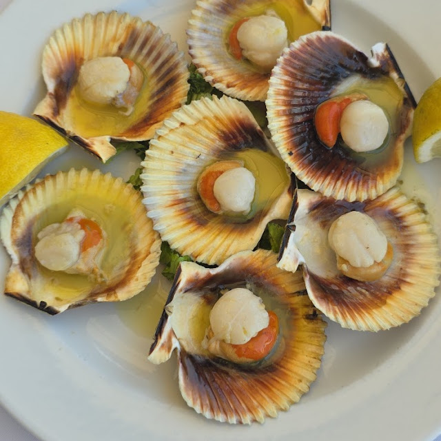 Scallops