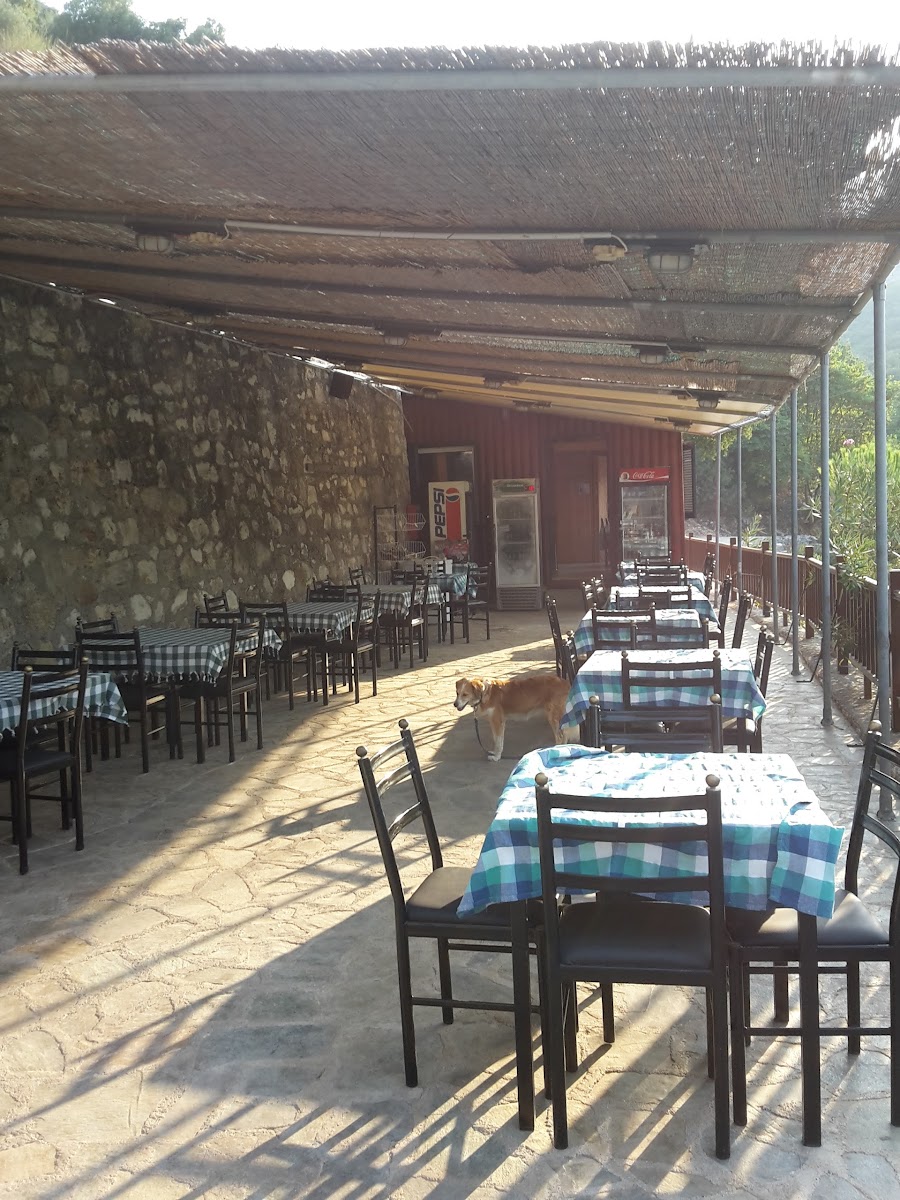 Stavroula's