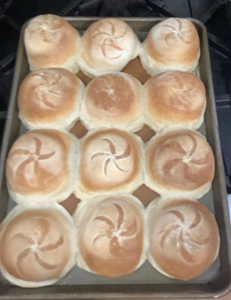 Sue's Cobscook Bay Cafe - Photo 1