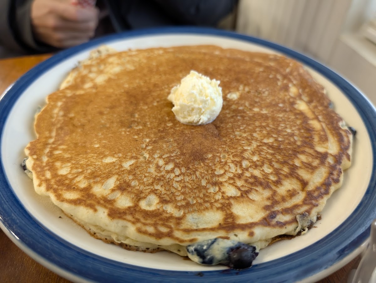 Sue's Cobscook Bay Cafe - Photo 7