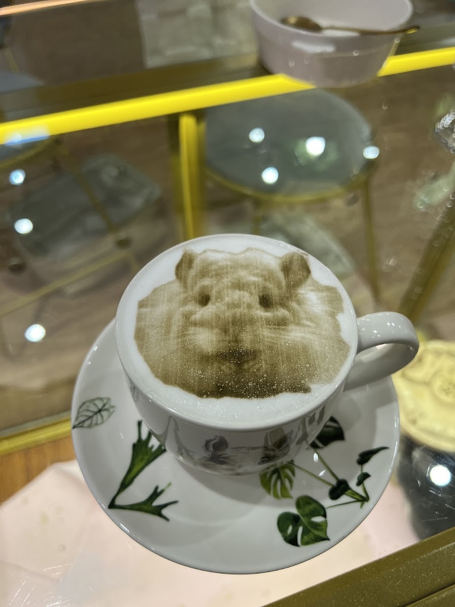 悠悠龍貓咖啡 UU Chinchilla Cafe - Photo 5