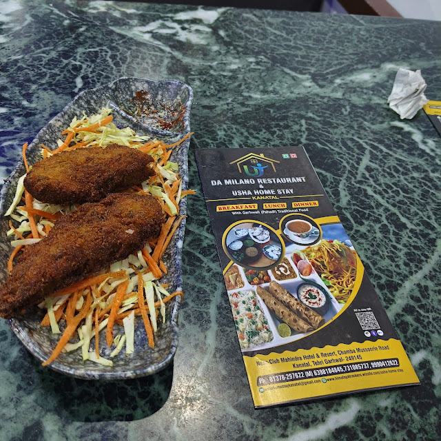 Veg Cutlet