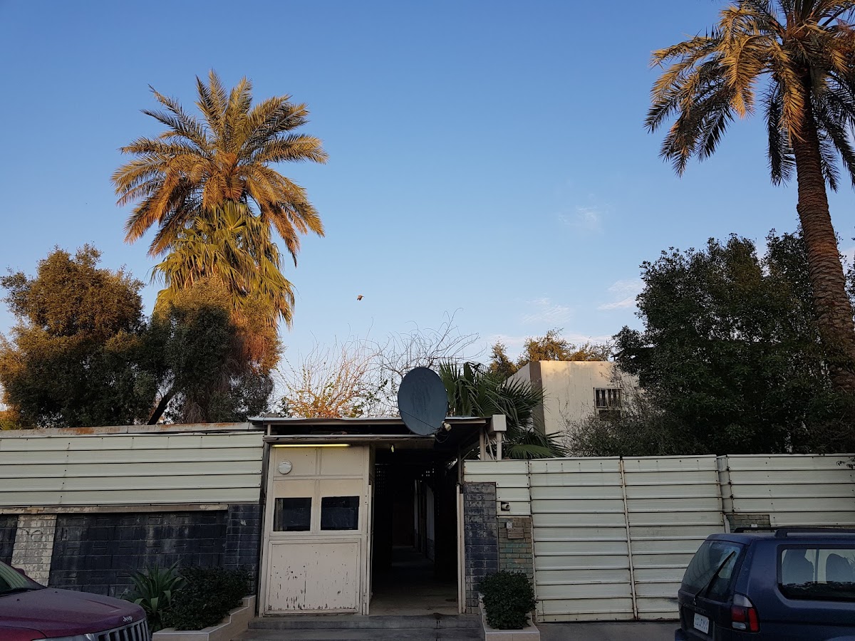 Dojo s - Photo 6