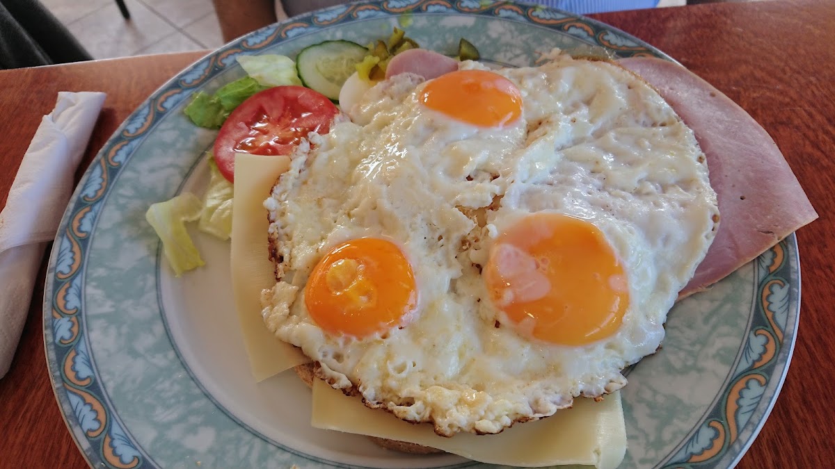 Oss Lunch Express / Lunchroom - Photo 9