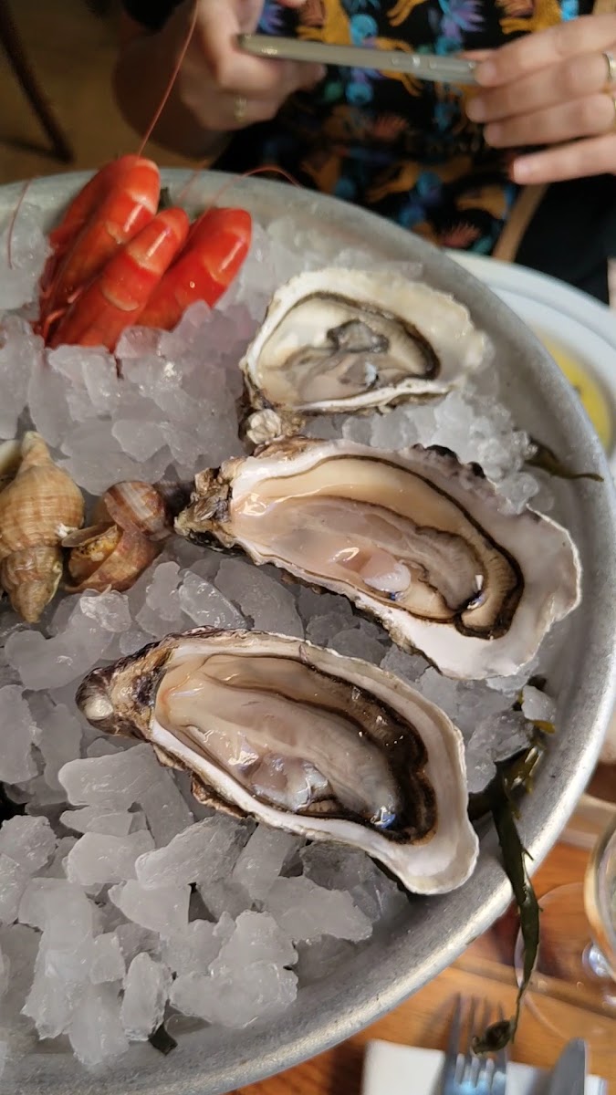 Coquille - Bistrot Marin - Photo 1