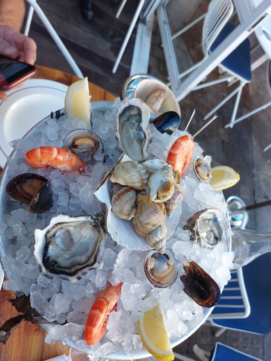 Coquille - Bistrot Marin - Photo 5