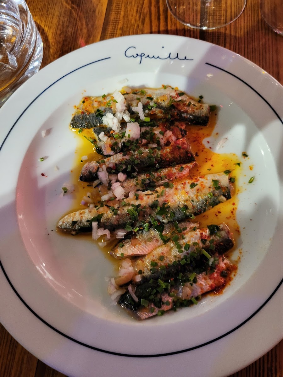 Coquille - Bistrot Marin - Photo 7