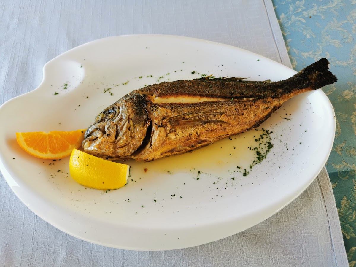 Restoran Primordija - Photo 1