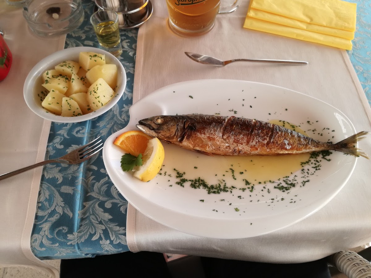 Restoran Primordija - Photo 5